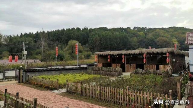 辽源“花海王国”：300亩芍药绽放，一年仅美20天，错过要等一年