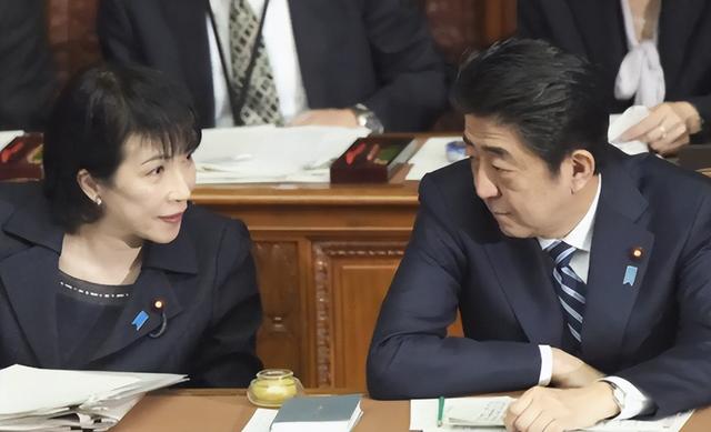新任日本自民党总裁将面临多重压力