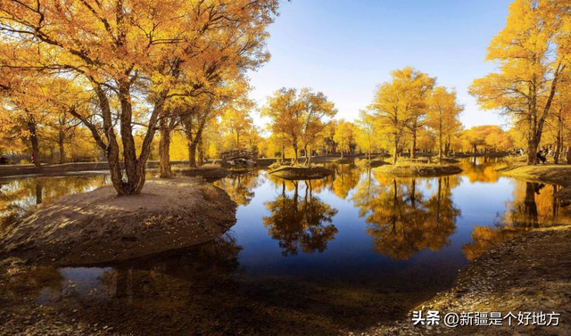 恕我直言，错过巴州胡杨真的会意难平！