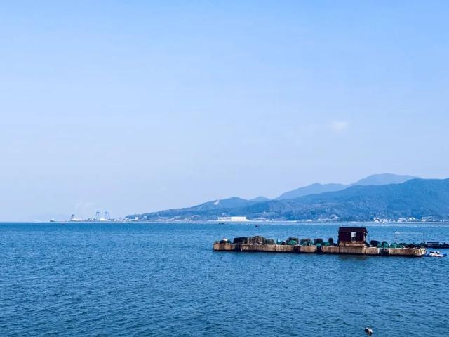 芒种行记｜望海茶，一盏香茗观山海