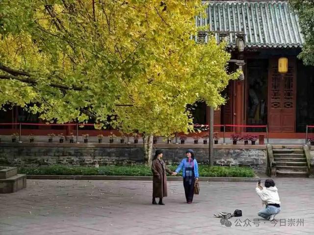 开始刷屏！🤩🤩 崇州罨画池迎来颜值巅峰