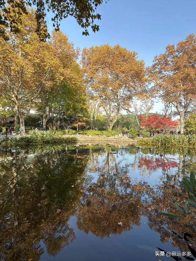 沿着鲁迅的足迹，赏上海秋日美景