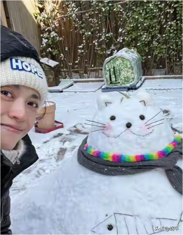 姚晨和儿子在北京别墅堆雪人，儿子土豆越长越帅，院子里都是猫窝