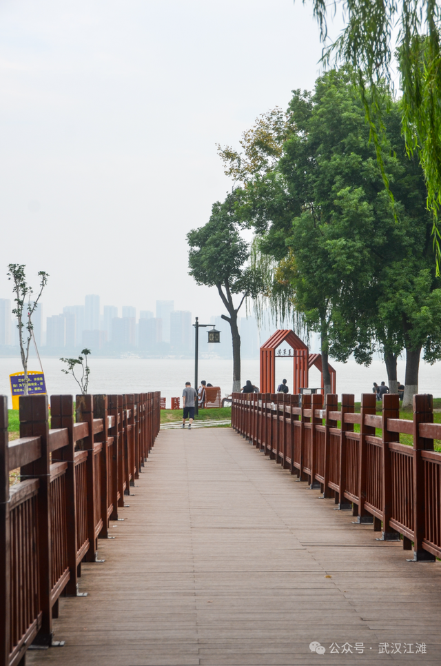 要读懂武汉人的浪漫，就去江滩吧！新上的一批观景座椅太“撩人”啦