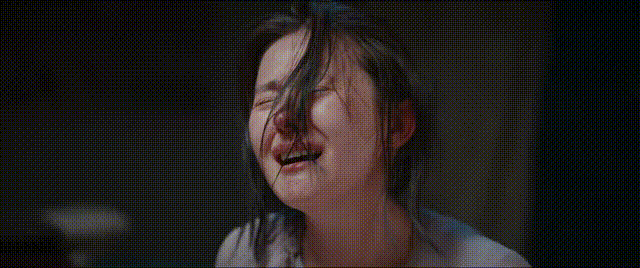 《灼灼韶华》大结局