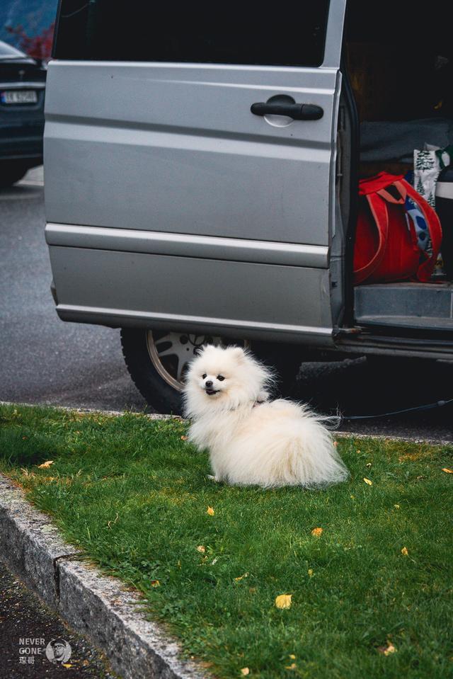 挪威秋韵，峡湾森境