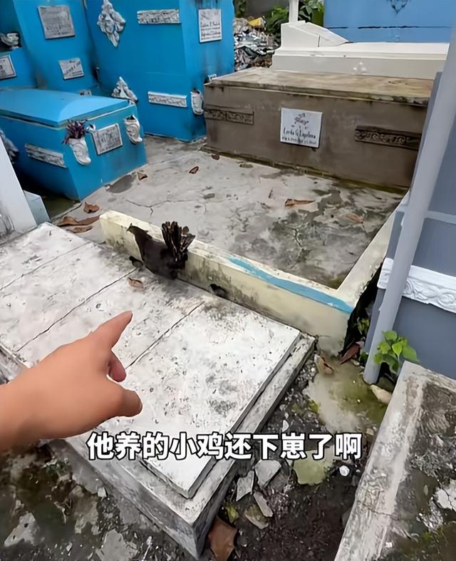 探秘菲律宾"活死人区"，棺材上睡觉做饭，小孩这里出生，白骨为伴