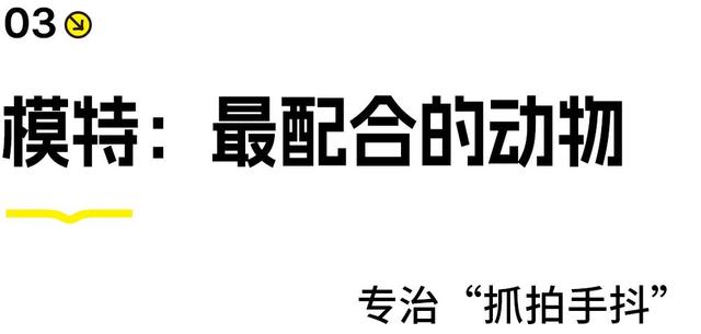 素颜版巴黎走红，推荐一处不“照骗”的目的地！