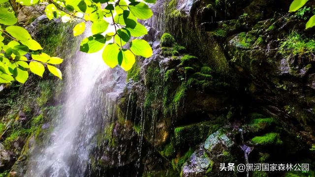 来一场「云赏黑河」之旅！听雨观山，神游林海