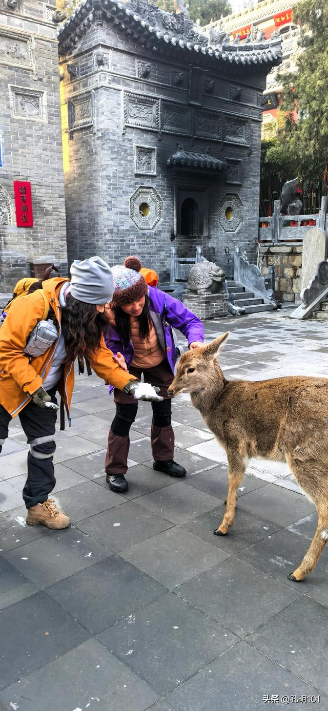 寒风瑟瑟雪世界～嵩山峻极峰赏雪记