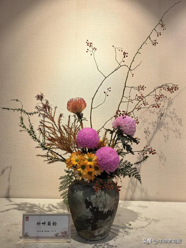 秋风独宠一园菊，晚来香艳出樊篱——北京北海公园2025年菊花展