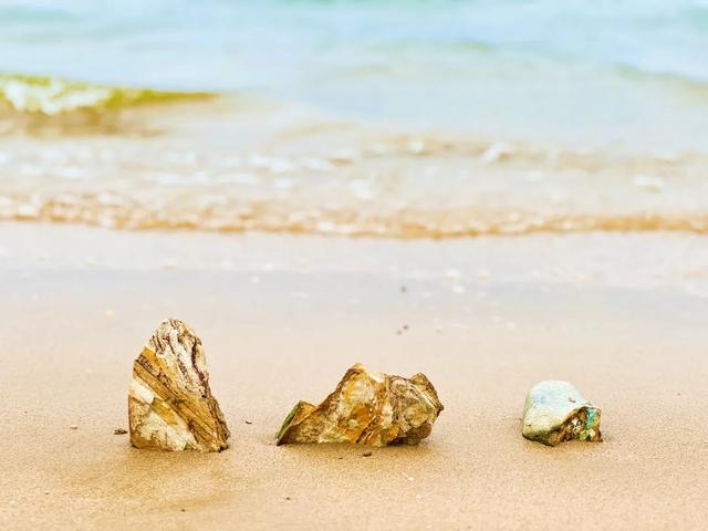 广州出发1天游，广东版的绝美“蓝眼泪”+北江千亩芦苇花盛开