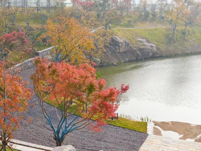 田曦薇、胡一天打卡西海岸！约你来玩！