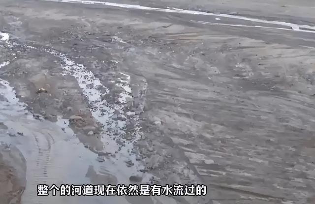 13人露营致10死，五个家庭天塌了，野景点自己去的，羊倌曾提醒过