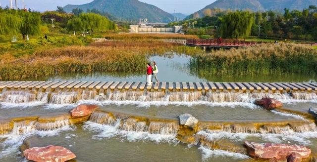 秋深景更美!运城最绚烂时刻到了!