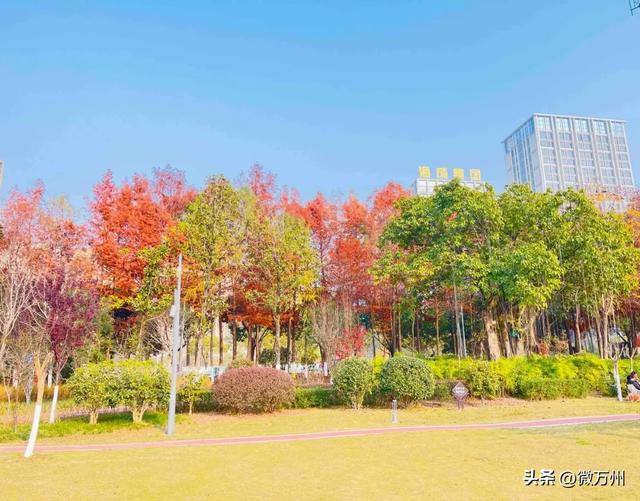 太惊艳了！北滨大道、音乐广场、太白岩、龙溪大道、南滨公园……快去→