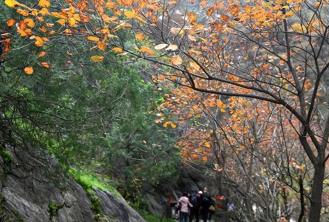 “中国北方第一峡”金龙峡风景区举办红叶节健康徒步行活动
