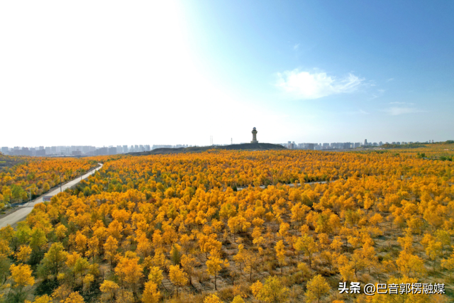 胡杨林的黄金时间来了，到巴州不只塔里木胡杨林公园，这些胡杨林，个个惊艳