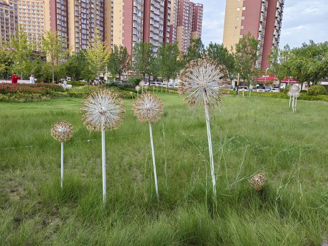 富闽友谊广场见证富平人民和福建人民的深情厚谊