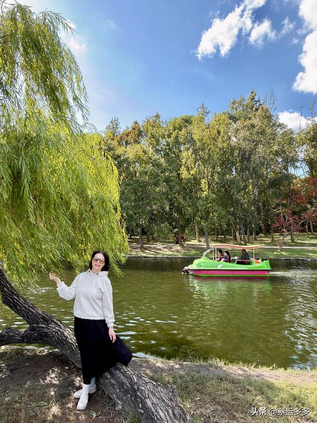 重阳节，上海赏秋之美