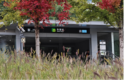 一叶知秋！2025年石家庄市城区赏秋指南来啦 这些地方别错过