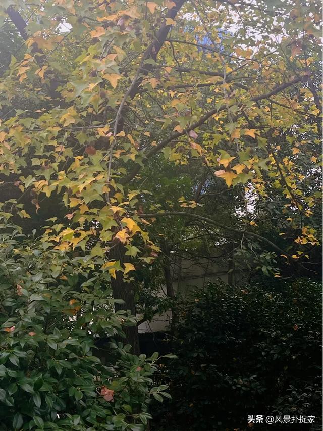 南昌的晚秋，风景美如画