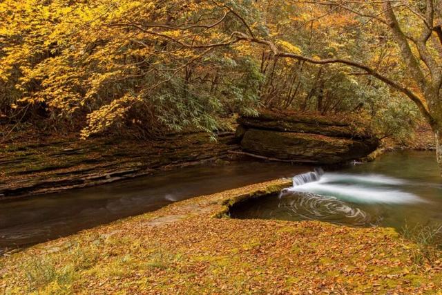遇见最美红叶季！未来一周汉中红叶观赏预报抢先看~