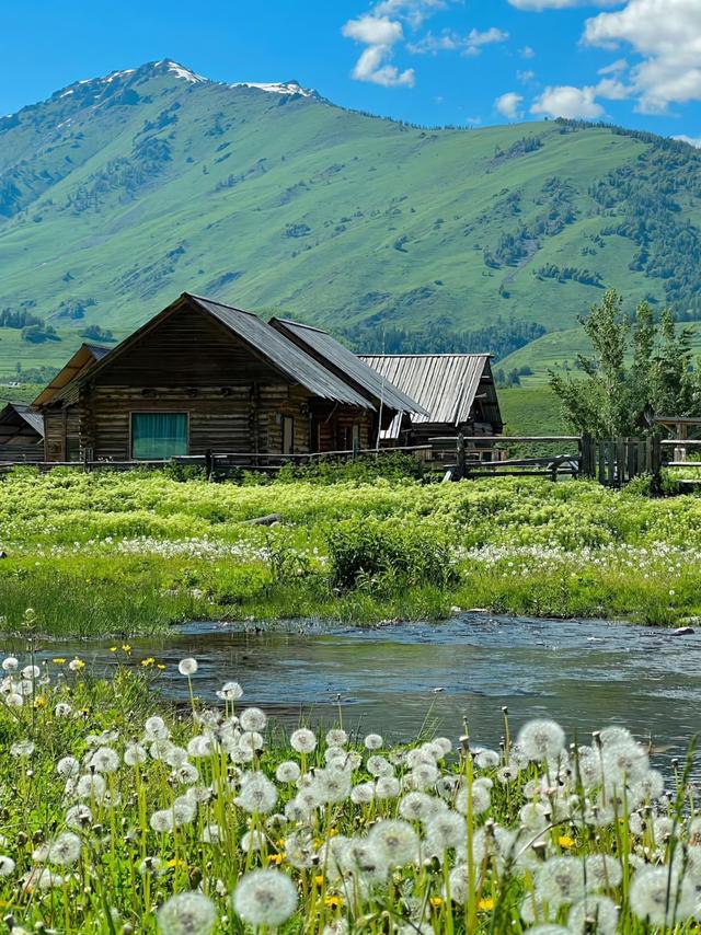 世界上只有中国新疆阿勒泰地区才有的全球 “独一无二的8大奇景”