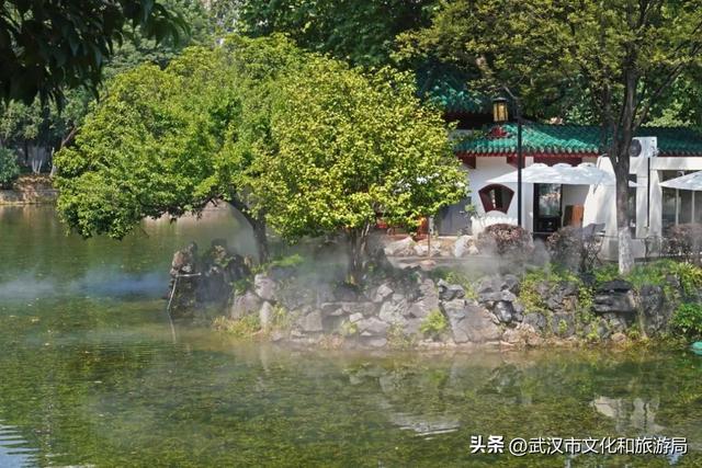 直降5℃！中山公园开“中央空调”了