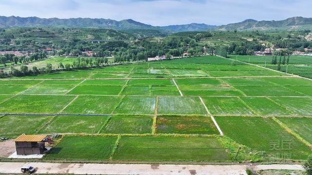 灵丘:红色热血沃热土 绿色发展焕新颜
