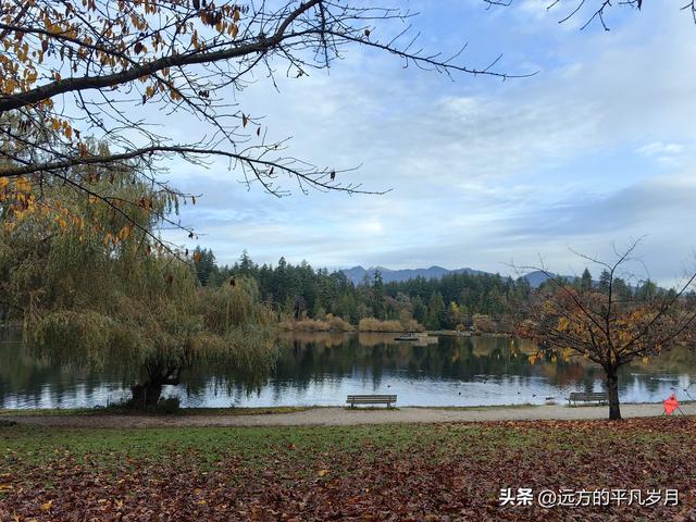 温哥华游记（一）