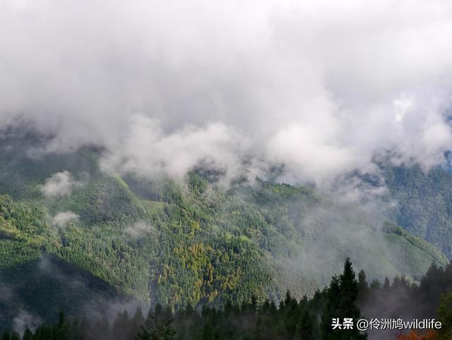 四川行(73)什邡红枫岭徒步到钟鼎寺