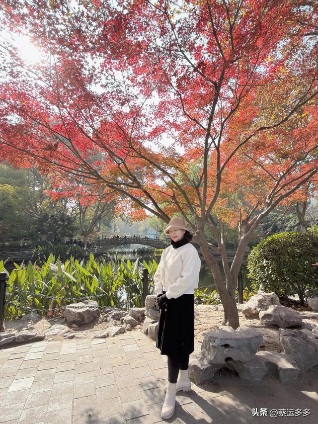 沿着鲁迅的足迹，赏上海秋日美景