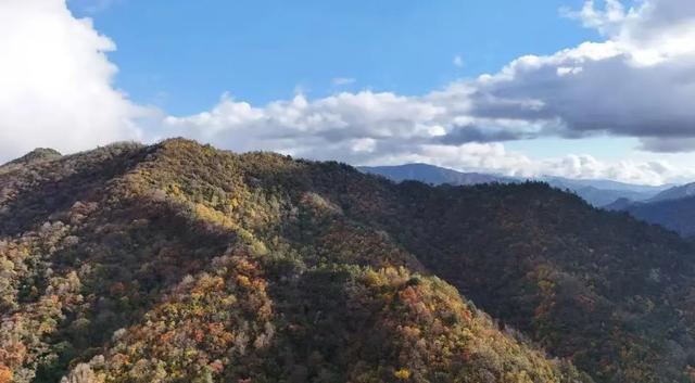 谁说秋天只有凋零？紫柏山两日游攻略来了！