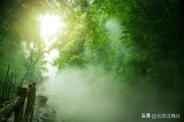 鲁智深只知倒拔垂柳，这野竹林非野猪林，江南七怪：难怪七贤喜欢