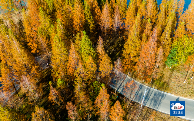 哎呀！谁打翻了襄阳“调色板”！