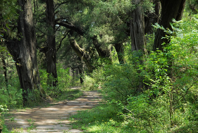 秋假冲剑阁！带娃解锁古道雄关里的“嗨玩密码”