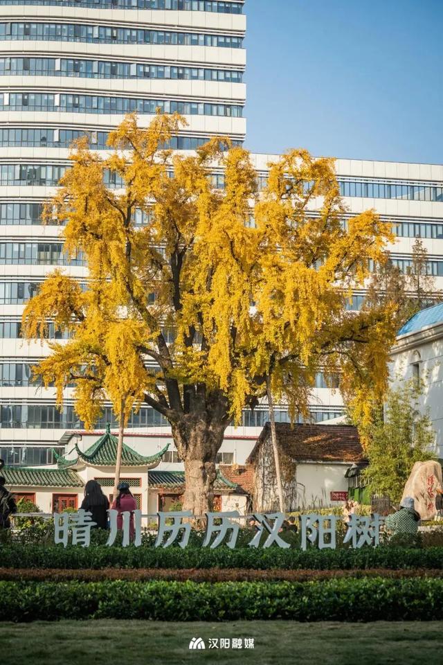 湖北日报重磅推出《武汉，亮底牌》