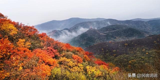 北京叶正红，不止香山，还有这几个。
