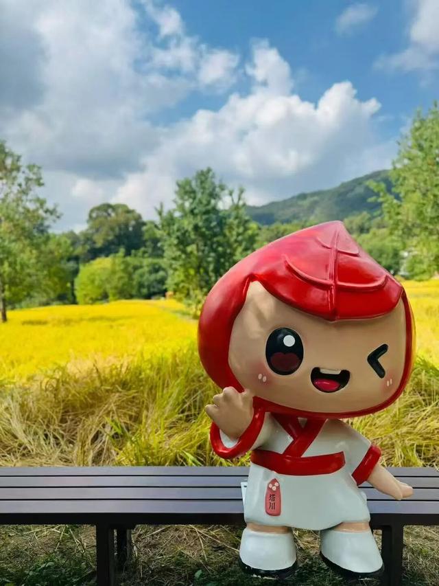 塔川秋色已上线！乌桕+民宿，等你来打卡~ | 皖美秋日