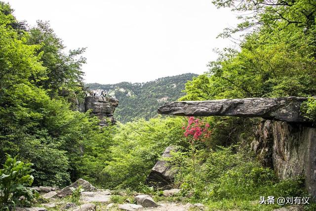 老年人旅游哪种方式较好呢？少些执着多些随意，身在景中心在天外