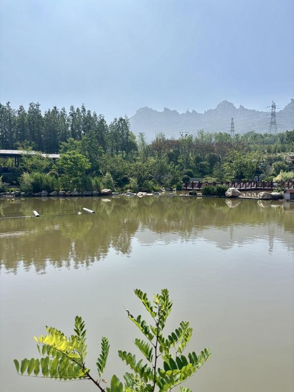 一座藏在青岛主城区内的森林氧吧