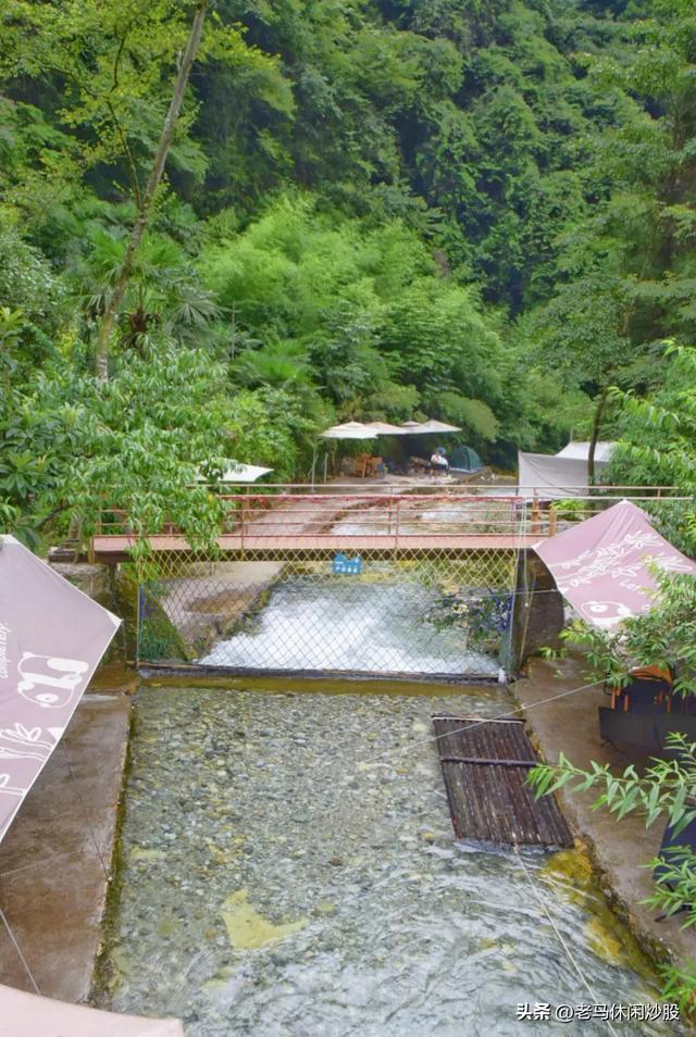 茨竹沟——鸡冠山深处的清凉秘境