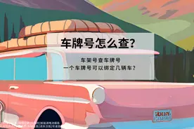 车牌号怎么查？车架号（VIN）查车牌号有哪些常用方法？图片