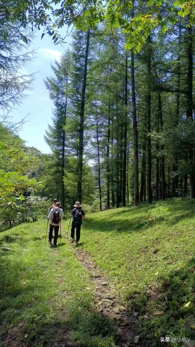 两次本溪南岭徒步记｜高山草甸，湖池松林，我被南岭种草