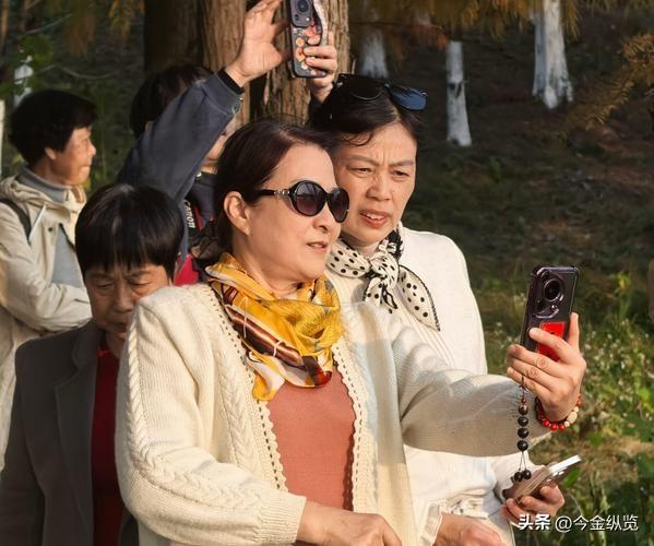 2025户外影像不再拼性能，大疆影石掀起只玩不拍新潮流，精彩全收