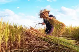 可以将城镇户口迁到农村去吗？可以，但需要满足以下这些条件图片