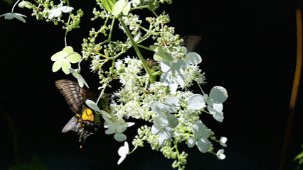 快来抱抱~ | Welcome to 疯狂·武夷山·动物城