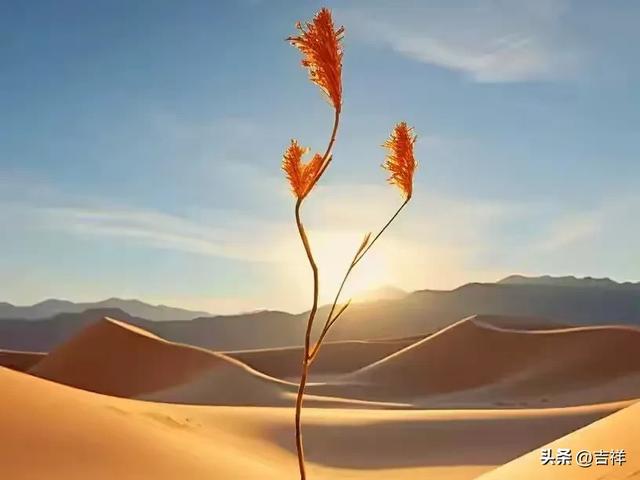 两性关系：在爱情里，最伤人的是“不被理解”