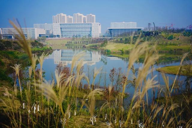 周末晒太阳！这几地有湖水+草坪+1h可达